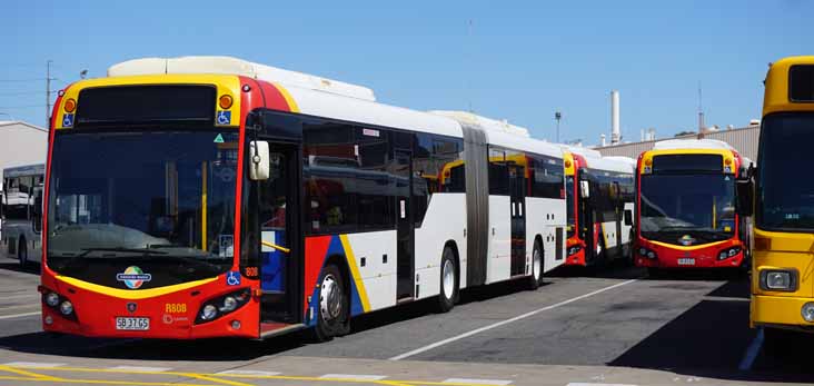 Adelaide Metro Scania K360UA Custom CB80 808